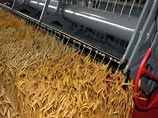В настоящее время многие рассчитывают, что отмена Россией эмбарго на пшеницу в какой-то мере приостановит повышение цен