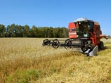 Аграрный бизнес сейчас один из наиболее перспективных: мировые цены на зерно стабильно растут, равно как и его урожаи в Украине. С июля 2010 года цены на основные зерновые культуры выросли на 40-50%