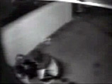 Столичные полицейские поймали жестокого серийного грабителя, который калечил жертв электрошокером, вызывая онемение языка. Одной потерпевшей он прожег щеку Столичные полицейские поймали жестокого серийного грабителя, который калечил жертв электрошокером, вызывая онемение языка. Одной потерпевшей он прожег щеку