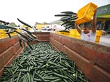 Еврокомиссия: "сепаратный мир" отдельных стран ЕС с Россией по поводу овощного эмбарго невозможен