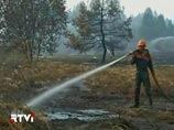 Cитуация прошлого лета во многом повторяется: информация о пожарах замалчивается, на их тушение не выделяются силы и средства, и за короткое время торфяные пожары переходят ту стадию, на которой потушить их до осени уже невозможно Cитуация прошлого лета во многом повторяется: информация о пожарах замалчивается, на их тушение не выделяются силы и средства, и за короткое время торфяные пожары переходят ту стадию, на которой потушить их до осени уже невозможно
