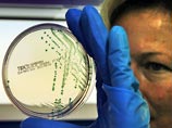 В Европе нашли новый источник кишечной инфекции E.coli и новый тип бактерии-мутанта
