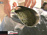 Власти страны уже подтвердили, что в килограмме чайной продукции содержится цезий в концентрации 679 беккерелей при норме в 500 беккерелей. В настоящее время работа чайной фабрики в Сидзуоке приостановлена Власти страны уже подтвердили, что в килограмме чайной продукции содержится цезий в концентрации 679 беккерелей при норме в 500 беккерелей. В настоящее время работа чайной фабрики в Сидзуоке приостановлена