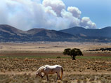 По данным синоптиков, дым от пожаров распространяется на восток Аризоны в сторону штата Нью-Мексико