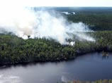 За последние сутки площадь лесных пожаров на территории Сибирского федерального округа выросла почти на 2500 гектаров и сейчас превышает 37500 га