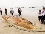Жители китайской провинции Гуандун, расположенной на юго-востоке страны, не могут опознать труп огромного морского животного, выброшенного на побережье