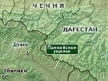 Большая группа боевиков численностью от 50 до 70 человек проникла на территорию Северного Кавказа из Панкисского ущелья, где проходила подготовку к организации терактов. Об этом сообщает Life News со ссылкой на сотрудника силовых структур СКФО Большая группа боевиков численностью от 50 до 70 человек проникла на территорию Северного Кавказа из Панкисского ущелья, где проходила подготовку к организации терактов. Об этом сообщает Life News со ссылкой на сотрудника силовых структур СКФО
