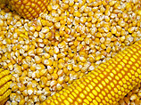 Накануне падения минсельхоз США сообщил, что американские фермеры засеяли кукурузой на 5% больше прошлогоднего, и посевные площади под пшеницей в США, по данным министерства, увеличиваются на те же 5%