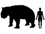 Животное напоминало гигантского вомбата или медведя. Длина его тела составляла 4 метра, вес - 3 тонны
