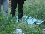 Двое неизвестных лиц путем свободного доступа проникли во двор домовладения Ахмедова и из пистолета неустановленного образца произвели выстрелы Двое неизвестных лиц путем свободного доступа проникли во двор домовладения Ахмедова и из пистолета неустановленного образца произвели выстрелы