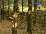 Следствие о зачинщиках конфликта в Сагре: "Там и наши славяне были" Следствие о зачинщиках конфликта в Сагре: "Там и наши славяне были"