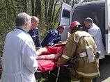 Российские туристы ранены в аварии в Крыму: женщина за рулем врезалась в дерево