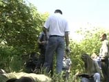 15-летнюю московскую школьницу изнасиловали и убили, когда она пошла в лес за ягодами 15-летнюю московскую школьницу изнасиловали и убили, когда она пошла в лес за ягодами