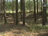 Дело о побоище в поселке Сагра, жители которого отбились от приехавших на "разборки" бандитов, по-видимому, сдвинулось с мертвой точки. Правоохранительные органы рапортуют о задержании нескольких налетчиков и предполагаемого организатора нападения. Дело о побоище в поселке Сагра, жители которого отбились от приехавших на "разборки" бандитов, по-видимому, сдвинулось с мертвой точки. Правоохранительные органы рапортуют о задержании нескольких налетчиков и предполагаемого организатора нападения.