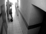В Петербурге сняли на ВИДЕО, как замначальника ОВД мочится под дверью кабинета В Петербурге сняли на ВИДЕО, как замначальника ОВД мочится под дверью кабинета