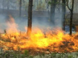 В Якутии из-за лесного пожара из детского лагеря отдыха эвакуированы 160 детей