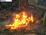 Общая площадь лесных пожаров, возникших в субботу, составила 1,1 гектара