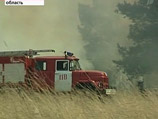 Пожарные потушили пять природных пожаров, вспыхнувших в Подмосковье