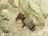 Территория строящегося микрорайона Снеговая падь буквально напичкана снарядами Территория строящегося микрорайона Снеговая падь буквально напичкана снарядами