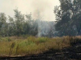 На месте лесного пожара в Ростовской области обнаружено тело погибшего мужчины
