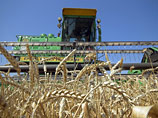 В РЗС прогноз урожая зерна повысили до 92 млн тонн