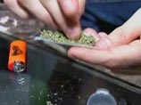 Газета: грузинские чиновники нашли, чем привлечь туристов - легализовать марихуану