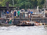 Пять из девяти жертв крушения катера на Москве-реке порубило винтами Пять из девяти жертв крушения катера на Москве-реке порубило винтами