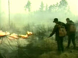 Количество лесных пожаров в Сибири за сутки снизилось вдвое