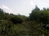 В Благовещенске пассажирскому самолету, промахнувшемуся мимо полосы, оторвало крыло и шасси (ФОТО)
В Благовещенске пассажирскому самолету, промахнувшемуся мимо полосы, оторвало крыло и шасси (ФОТО)