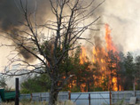 В двух районах Волгоградской области разгорелись природные пожары, пострадал поселок