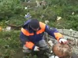 Погибших в катастрофе Ан-12 на Колыме опознают по генной экспертизе Погибших в катастрофе Ан-12 на Колыме опознают по генной экспертизе
