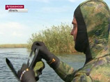 Медведев выложил в Twitter "так себе" подводное ФОТО с Волги. Блоггеры отнеслись с сарказмом Медведев выложил в Twitter "так себе" подводное ФОТО с Волги. Блоггеры отнеслись с сарказмом