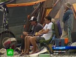 Атака акул у берегов Приморья взбудоражила ученых: у берегов России может быть целая стая людоедов Атака акул у берегов Приморья взбудоражила ученых: у берегов России может быть целая стая людоедов