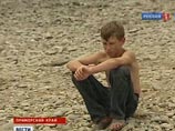 Акулы будут угрожать Приморью до сентября. МЧС учит туристов отбиваться, а эксперты пугают тропическими червями Акулы будут угрожать Приморью до сентября. МЧС учит туристов отбиваться, а эксперты пугают тропическими червями