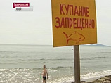 Огромная акула подобралась вплотную к Владивостоку, обратив в бегство водолазов