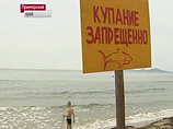 Огромная акула подобралась вплотную к Владивостоку, обратив в бегство водолазов Огромная акула подобралась вплотную к Владивостоку, обратив в бегство водолазов