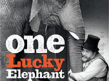 Откроется фестиваль "Счастливой слонихой" (One Lucky Elephant) Лизы Лиман