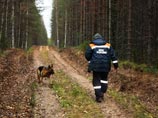 В Архангельской области погиб двухлетний мальчик, ушедший в лес искать маму