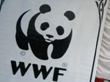 Всемирный фонд дикой природы раскритиковал "арктическую сделку" "Роснефти" с Exxon