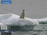 Всемирный фонд дикой природы раскритиковал "арктическую сделку" "Роснефти" с Exxon