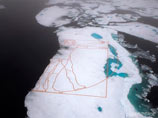 Ирландский художник выложил медными листами на льдине гигантскую копию рисунка Леонардо