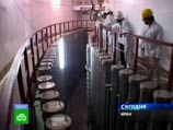 В Иране официально запустили Бушерскую АЭС, долго строившуюся с помощью России В Иране официально запустили Бушерскую АЭС, долго строившуюся с помощью России