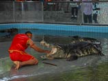 Близ популярного таиландского курорта с фермы разбежались десятки голодных крокодилов