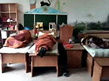 В Петербурге родители обнаружили в кроватках малышей в детском саду ночующих гастарбайтеров