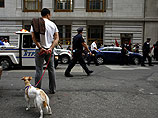 Полиция Нью-Йорка ограничила акцию протеста недовольных благополучием богачей