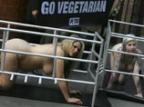 Одна из акций PETA в Лондоне Одна из акций PETA в Лондоне
