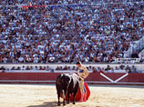 Парламент Каталонии запретил бои быков под давлением защитников животных: около 180 тысяч человек подписали петицию о прекращении этой многовековой традиции