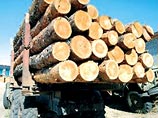 На Дальнем Востоке банда экс-милиционеров заработала свыше миллиарда долларов на "экспорте" леса На Дальнем Востоке банда экс-милиционеров заработала свыше миллиарда долларов на "экспорте" леса