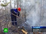 Лесные пожары в Братске "тушат" из Москвы: Шойгу и Медведев велели "затоптать тлеющую подстилку"