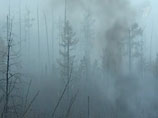 Пожары в лесопарковой зоне Братска полностью ликвидированы, сообщает "Интерфакс" со ссылкой на Главное управление МЧС РФ по Иркутской области